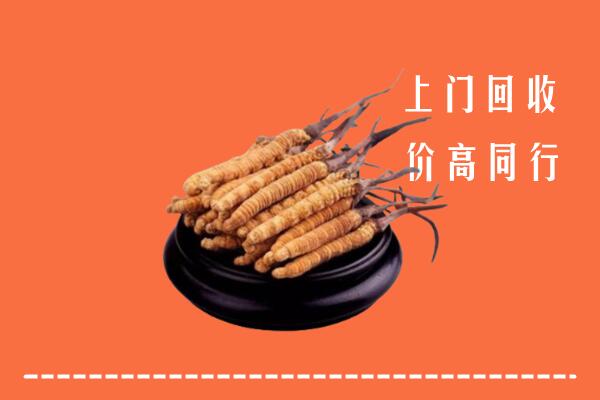 高价求购：贵阳市云岩区回收散虫草