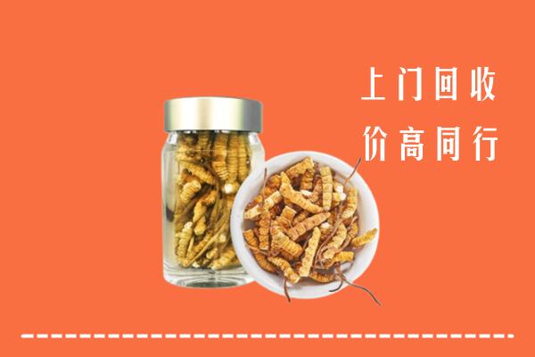 贵阳市云岩区回收冬虫夏草